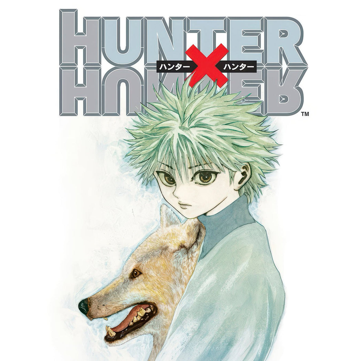 Hunter X Hunter - Dwear